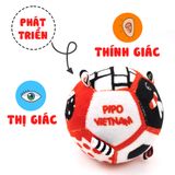  Bóng vải 3 màu cơ bản phát triển thị giác - thính giác PiPovietnam 