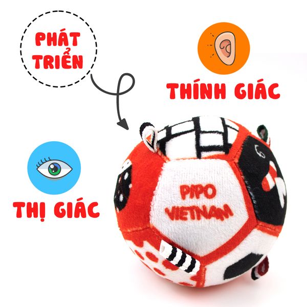  Bóng vải 3 màu cơ bản phát triển thị giác - thính giác PiPovietnam 