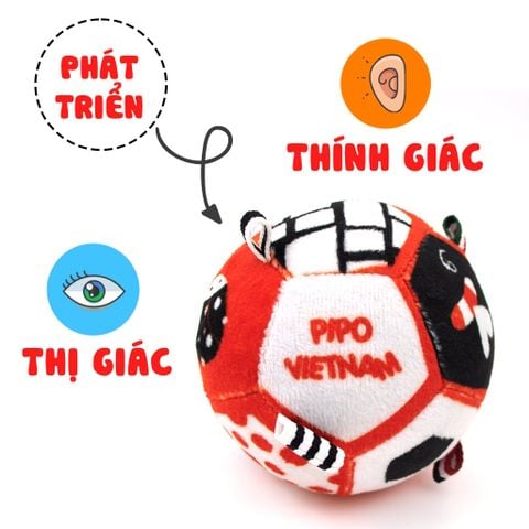  Bóng vải 3 màu cơ bản phát triển thị giác - thính giác PiPovietnam 