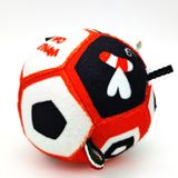  Bóng vải 3 màu cơ bản phát triển thị giác - thính giác PiPovietnam 