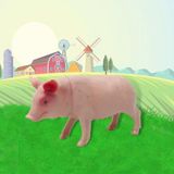  Đồ chơi mô hình 10 ĐỘNG VẬT NUÔI Hoàng Thu Việt Nam HT7504 