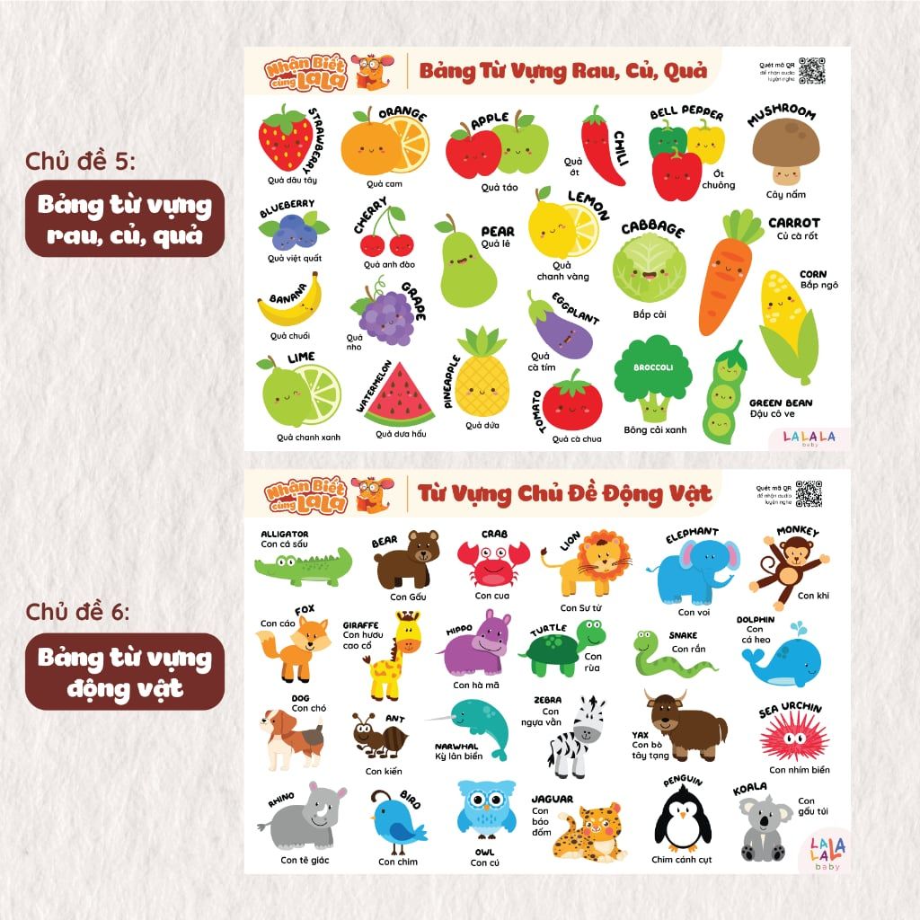  Bảng kiến thức cơ bản và cuộc sống poster dán tường 40x60cm 