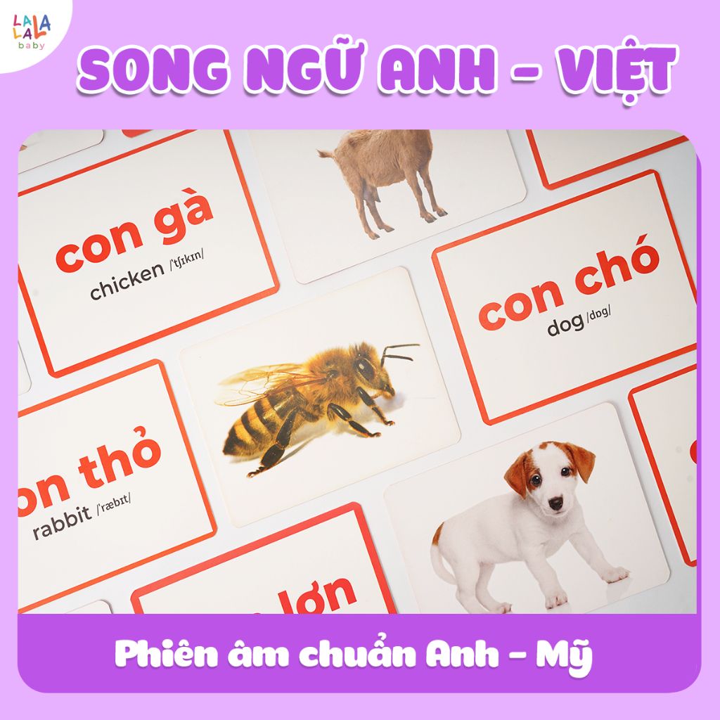  Bộ thẻ flashcard Lalala Baby, song ngữ chuẩn phương pháp Glenn Doman 