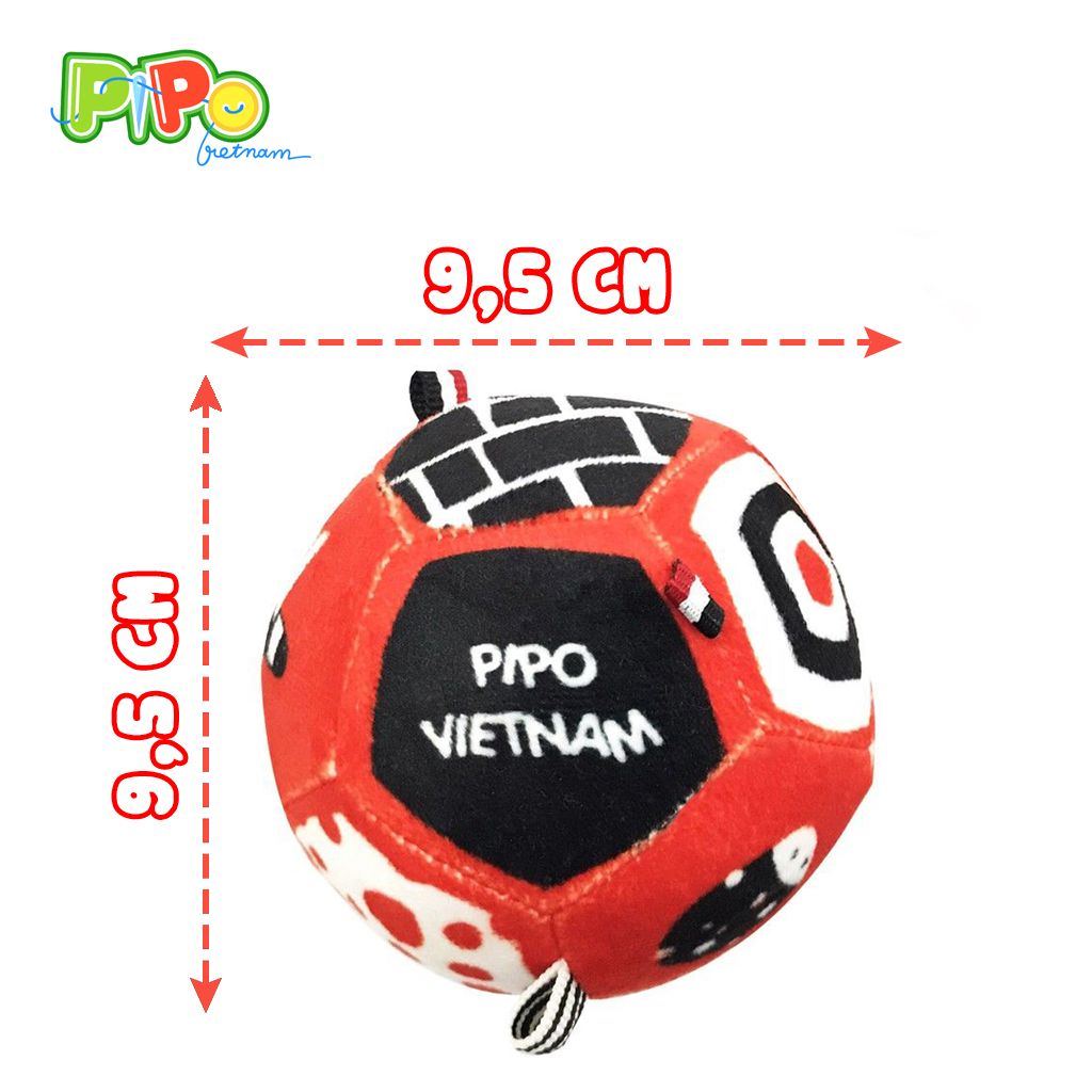  Bóng vải 3 màu cơ bản phát triển thị giác - thính giác PiPovietnam 