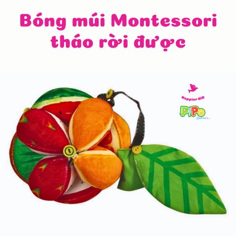  Bóng múi luyện chân Montessori PiPoVietnam, có dây treo cũi, kèm chuông 