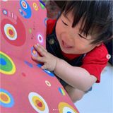  Sách Ehon Set 3 cuốn Moi Moi và những người bạn 