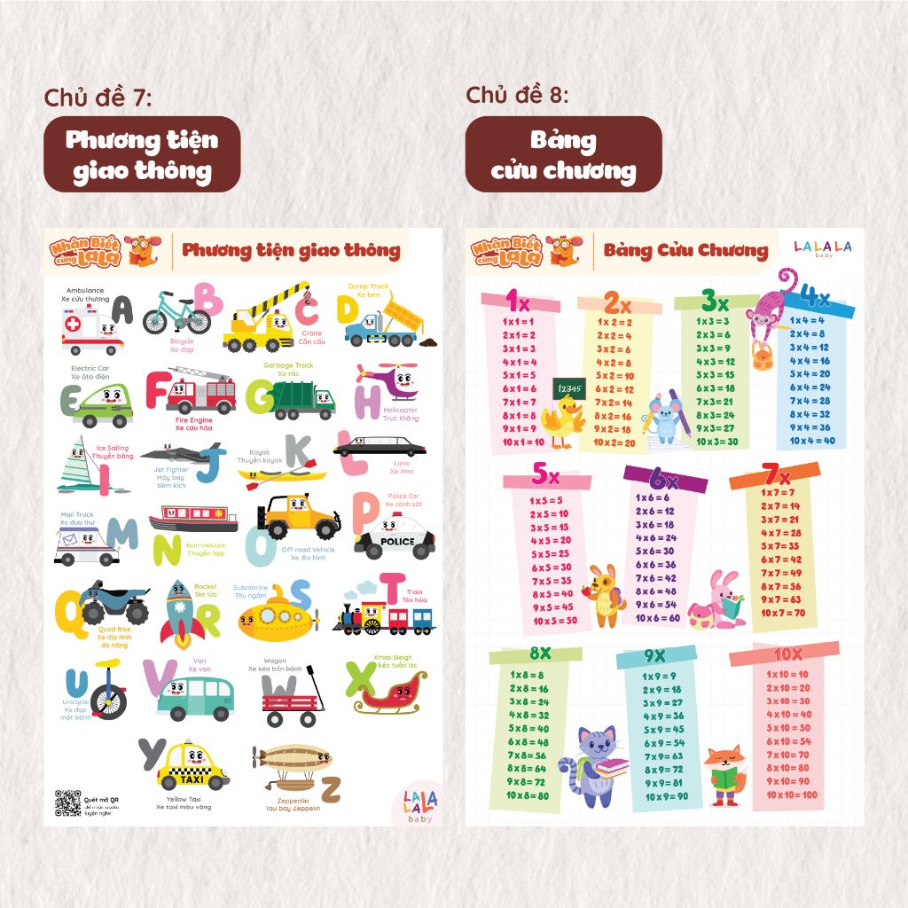  Bảng kiến thức cơ bản và cuộc sống poster dán tường 40x60cm 