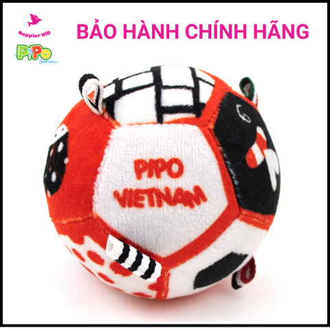  Bóng vải 3 màu cơ bản phát triển thị giác - thính giác PiPovietnam 