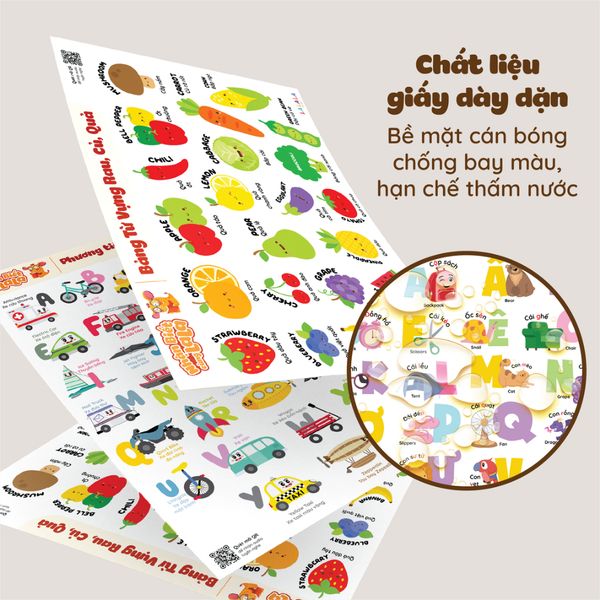  Bảng kiến thức cơ bản và cuộc sống poster dán tường 40x60cm 