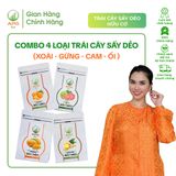  4 Túi TCSD - Xoài, Gừng, Cam, Ổi sấy dẻo, Hữu Cơ, Quy cách Túi Zip 100Gr| Trái Cây Sấy Dẻo APG ECO 