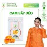  4 Túi TCSD - Xoài, Gừng, Cam, Ổi sấy dẻo, Hữu Cơ, Quy cách Túi Zip 100Gr| Trái Cây Sấy Dẻo APG ECO 