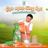  Gạo Vebo ST25 - Thượng hạng, hữu cơ, 1 túi 5kg 