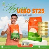  Gạo Vebo ST25 - Thượng hạng, hữu cơ, 1 túi 5kg 