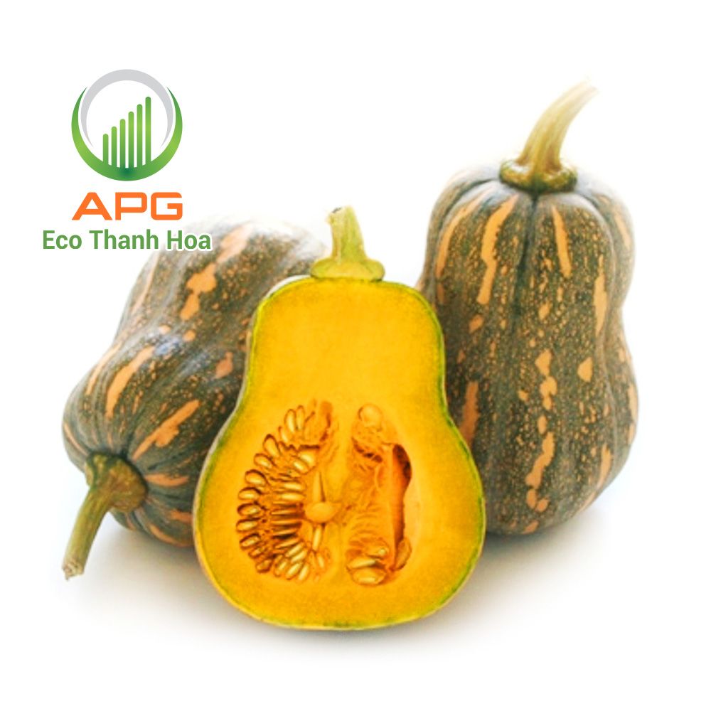 [HCM] Quả bí đỏ hữu cơ - APG ECO - Củ quả tươi tốt (1Kg - 2kg)