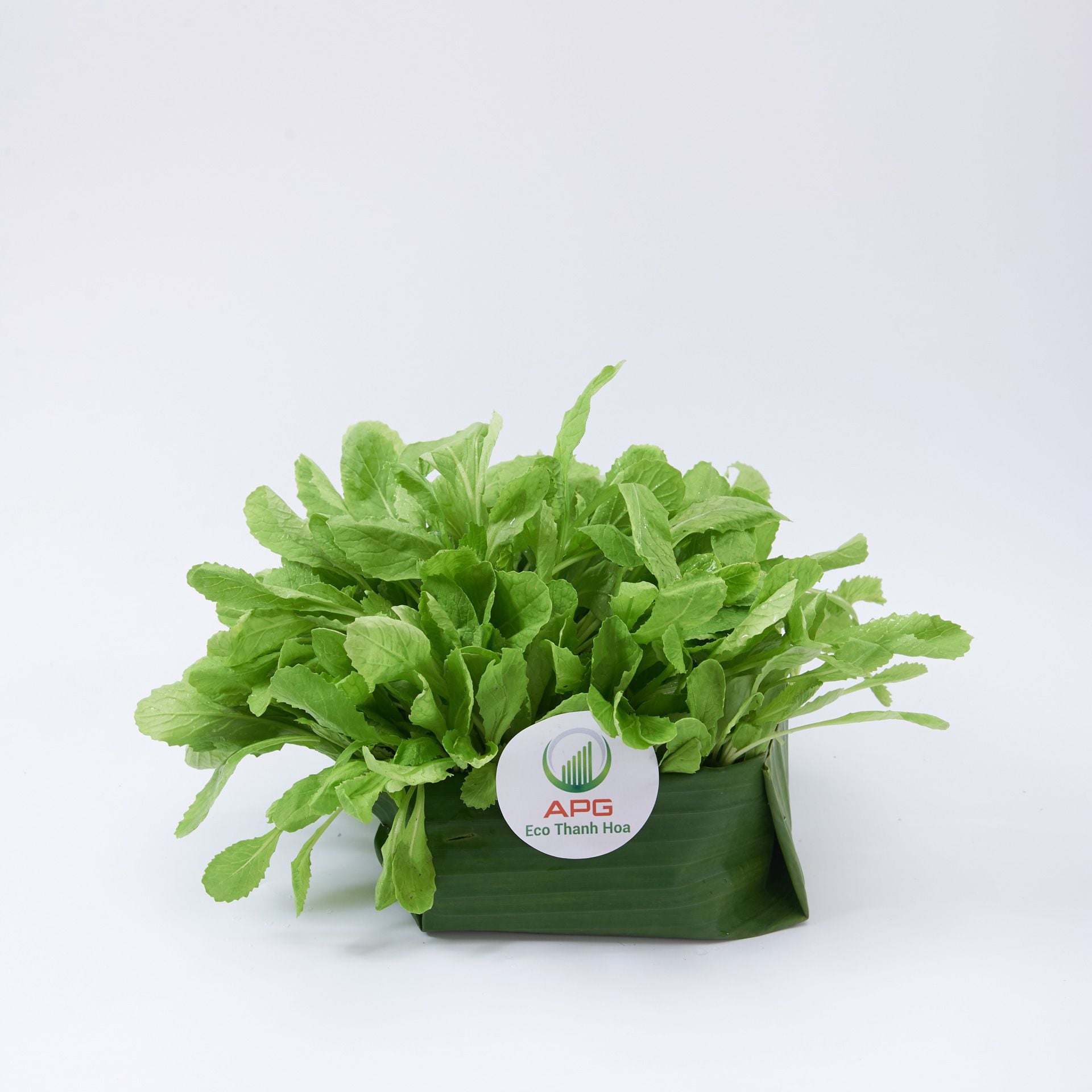  [HCM] Rau Cải Nhật Xanh Organic- APG ECO - Rau quả tươi tốt (Bịch 500g) 