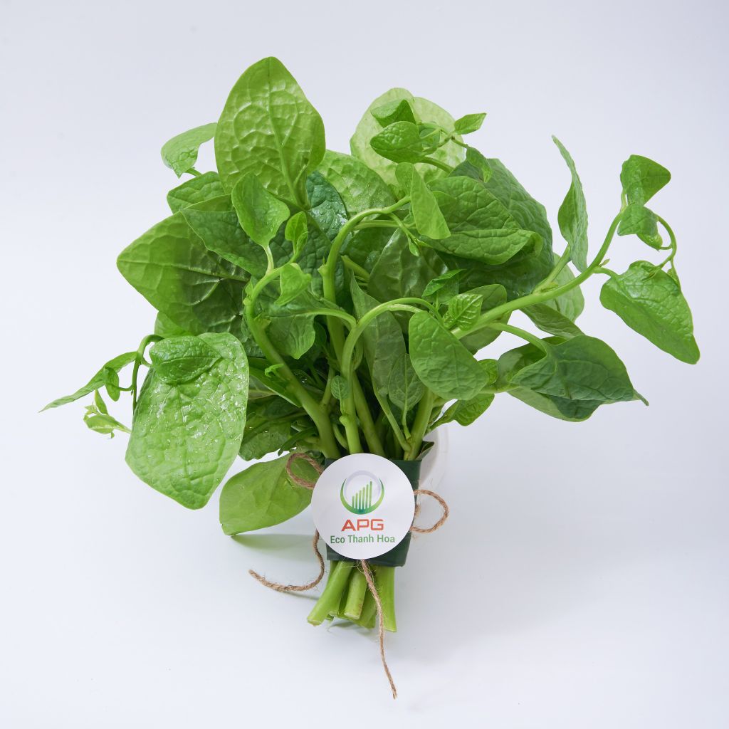 [HCM] Mồng Tơi Organic- APG ECO - Rau quả tươi tốt cho sức khoẻ (Bịch 500g)