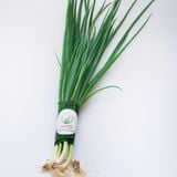  [HCM] Hành Hoa hữu cơ - APG ECO - Rau Lá tươi tốt (Bịch 100g) 