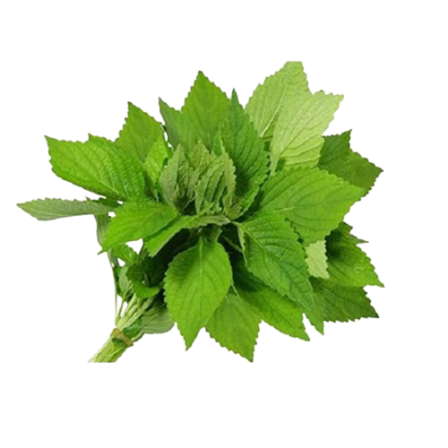  [HCM] Rau Kinh Giới hữu cơ - APG ECO - Rau quả tươi ( Bịch 100g) 