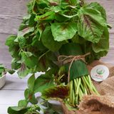  [HCM] Rau Dền Organic- APG ECO - Rau quả tươi tốt (Bịch 500g) 