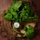  [HCM] Mồng Tơi Organic- APG ECO - Rau quả tươi tốt cho sức khoẻ (Bịch 500g) 