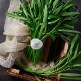  [HCM] Rau Muống Organic- APG ECO - Rau quả tươi tốt (Bịch 500g) 