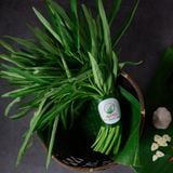  [HCM] Rau Muống Organic- APG ECO - Rau quả tươi tốt (Bịch 500g) 