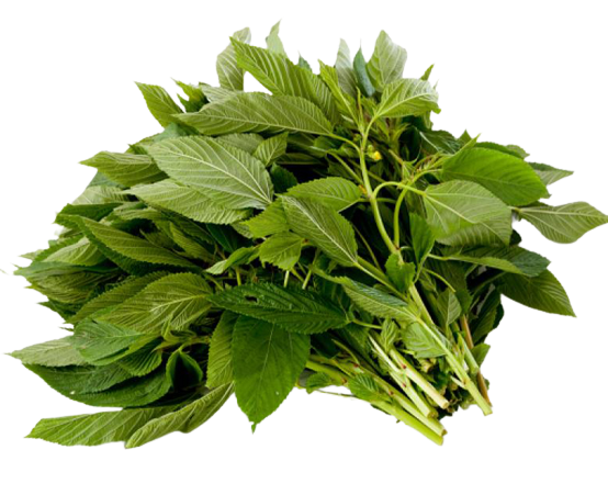  [HCM] Rau Đay Trắng hữu cơ - APG ECO - Rau quả tươi ( Bịch 500g) 