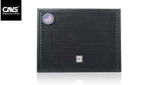 Loa Sub Karaoke CAVS DS115 - Active