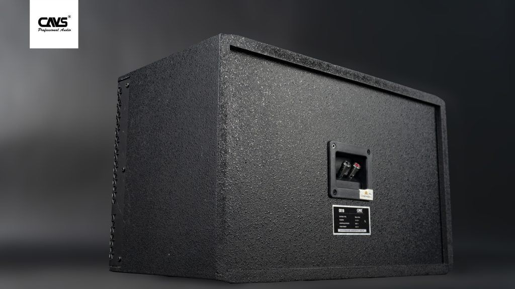 Loa Karaoke CAVS CK10