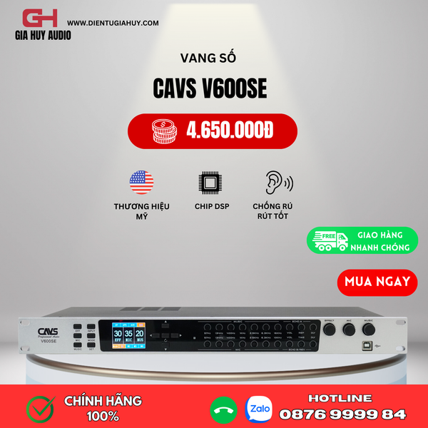 Vang số CAVS V600SE