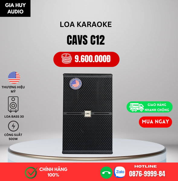 Loa Karaoke CAVS C12