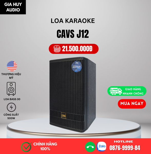 Loa Karaoke CAVS J12