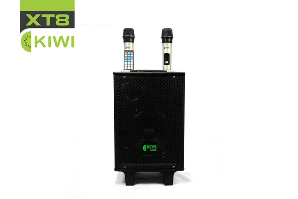 Loa Bluetooth KIWI XT8