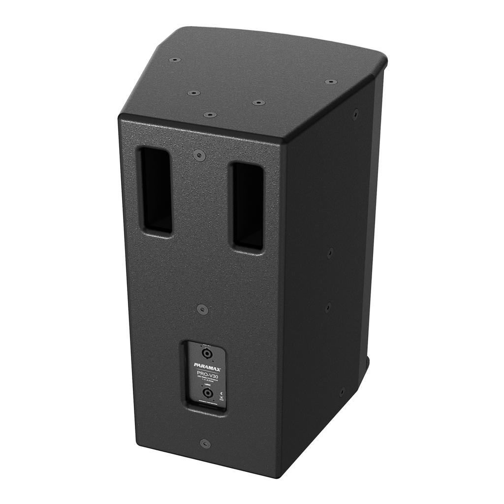 Loa Karaoke Paramax Pro V30