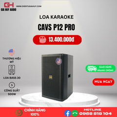 Loa Karaoke  CAVS P12 PRO