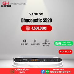 Vang số DBacoustic S520