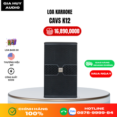 Loa Karaoke CAVS K12