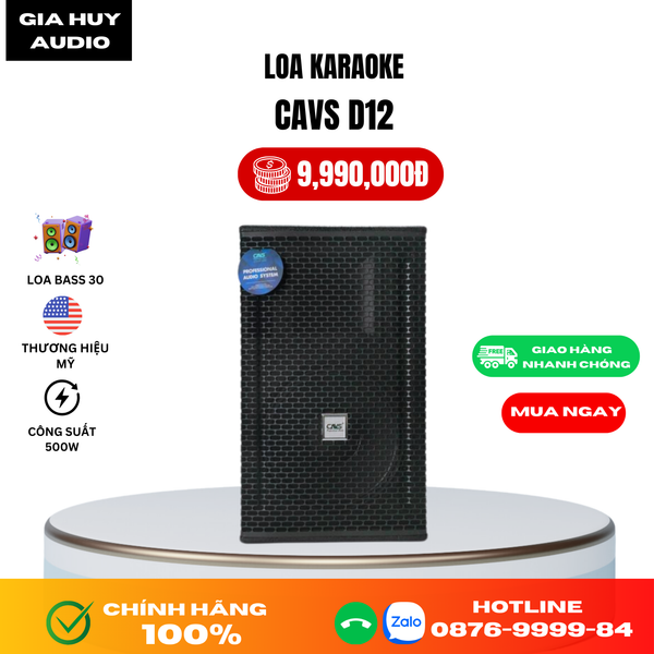 Loa karaoke CAVS D12