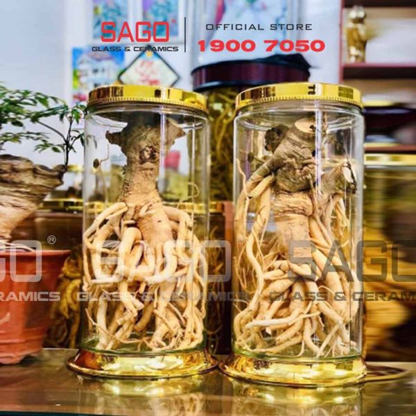  PH 21.8 - Binh Sâm Trụ Phú Hòa 21.8 Lít | Bình Sâm Cao Cấp Việt Nam 