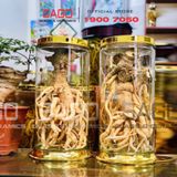  PH 21.8 - Binh Sâm Trụ Phú Hòa 21.8 Lít | Bình Sâm Cao Cấp Việt Nam 