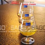  Ocean 1501X12 - Ly Thủy Tinh Ocean Classic Brandy 340ml | Nhập Khẩu Thái Lan 