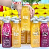  Chai Thủy tinh vuông 350ml Cao Cấp | Tùy chọn Loại nắp 