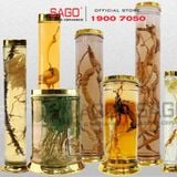  PH 30.8 - Binh Sâm Trụ Phú Hòa 30.8 Lít | Bình Sâm Cao Cấp Việt Nam 