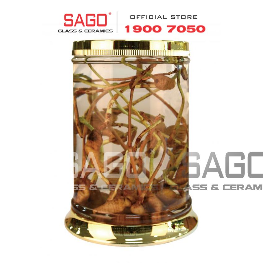  YONGCHEON No29 - Bình Sâm Hàn Quốc Yongcheon 56.0 Lít  | Bình Số 29 , Bình Sâm Cao Cấp Hàn Quốc 