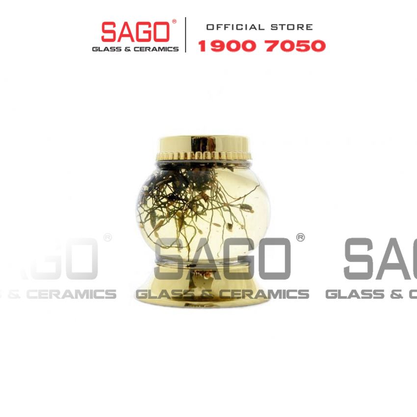  YONGCHEON No51 - Bình Sâm Hàn Quốc Yongcheon 1.2 Lít  | Bình Số 51 , Bình Sâm Cao Cấp Hàn Quốc 