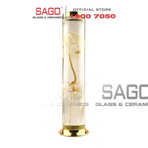  YONGCHEON No69 - Bình Sâm Hàn Quốc Yongcheon 1.0 Lít  | Bình Số 69 , Bình Sâm Cao Cấp Hàn Quốc 