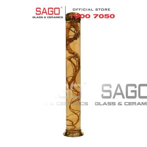  YONGCHEON No81 - Bình Sâm Hàn Quốc Yongcheon 9.5 Lít  | Bình Số 81 , Bình Sâm Cao Cấp Hàn Quốc 