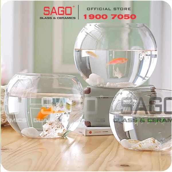  Pasabahce 43427 - Chậu Hoa Thủy Tinh Tròn Pasabahce Botanica Cao 12cm | Nhập Khẩu Thổ Nhĩ Kỳ 
