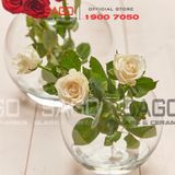  Pasabahce 43427 - Chậu Hoa Thủy Tinh Tròn Pasabahce Botanica Cao 12cm | Nhập Khẩu Thổ Nhĩ Kỳ 