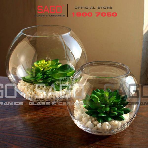  Pasabahce 43427 - Chậu Hoa Thủy Tinh Tròn Pasabahce Botanica Cao 12cm | Nhập Khẩu Thổ Nhĩ Kỳ 